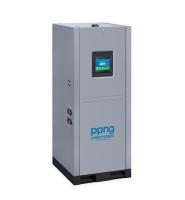 Генератор азота адсорбционный Pneumatech PPNG 12 HE PCT