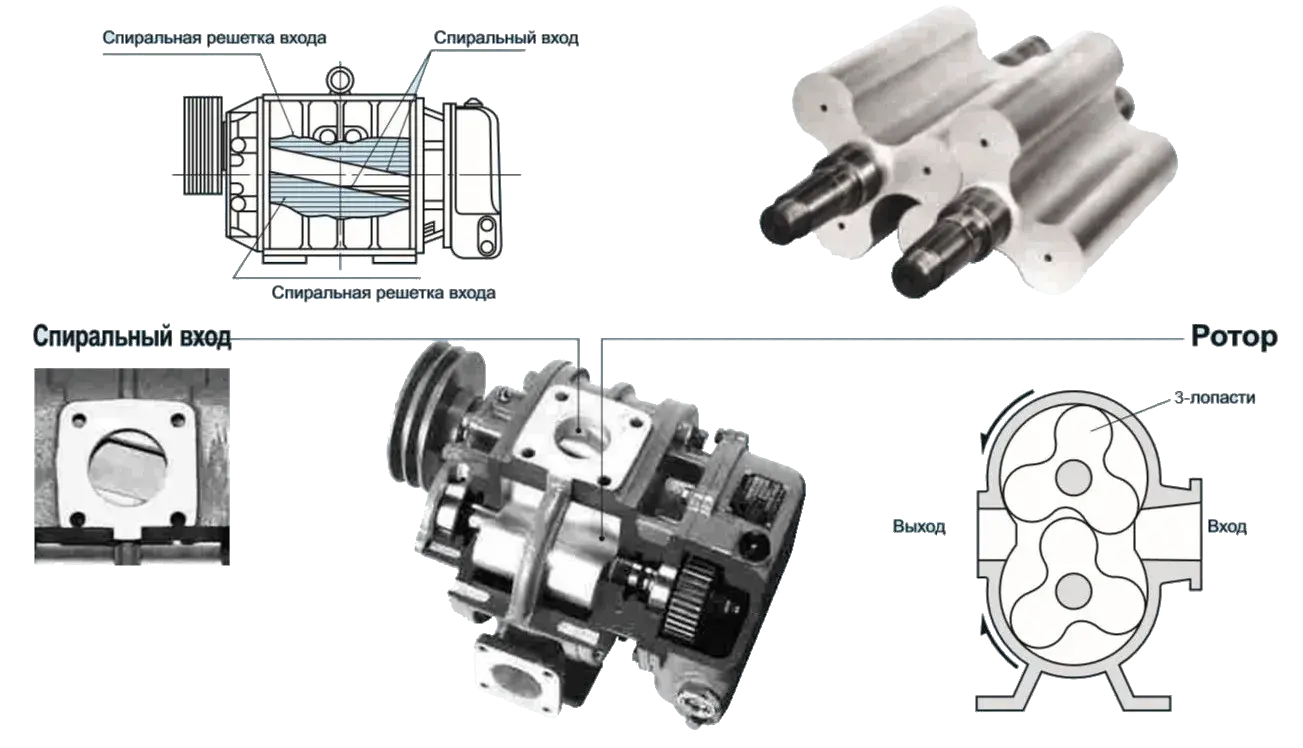 Роторная воздуходувка: принцип работы – устройство, виды и типы  воздуходувок Рутса, сфера применения, производители и ремонт
