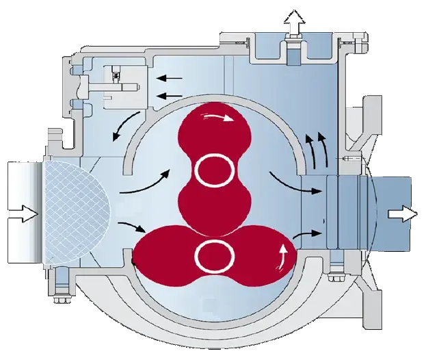 Схема принципа действия кулачкового насоса вид сбоку