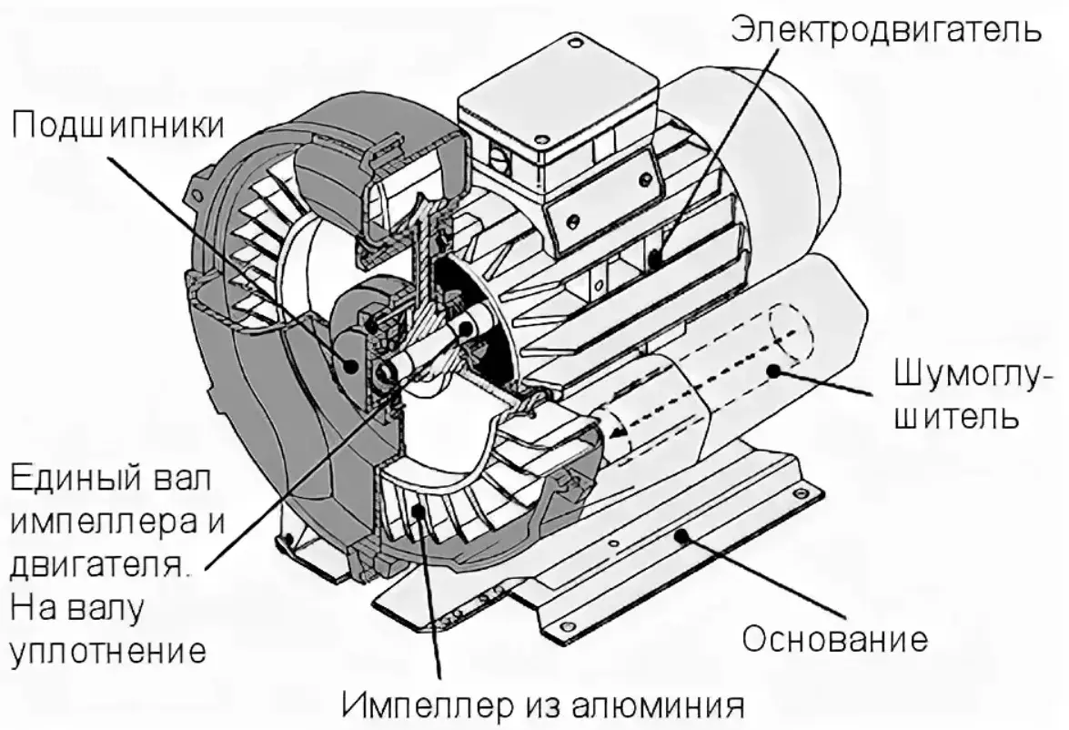 Воздуходувка промышленная: принцип работы – устройство, виды и типы  воздуходувок, сфера применения, производители и ремонт