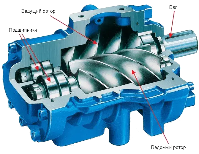 Конструктивная схема элементов винтовой воздуходувки
