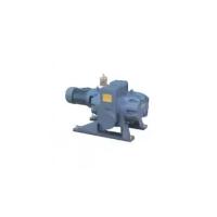 Бустерный вакуумный насос типа Рутс DVE ZJP-300